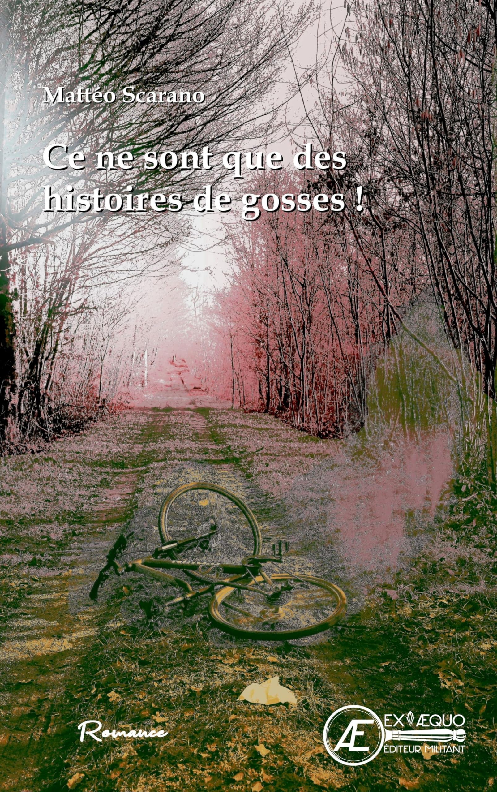 Ce ne sont que des histoires de gosses book
