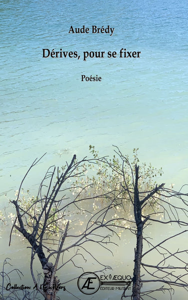 Dérives, pour se fixer : recueil de poésies Poetry