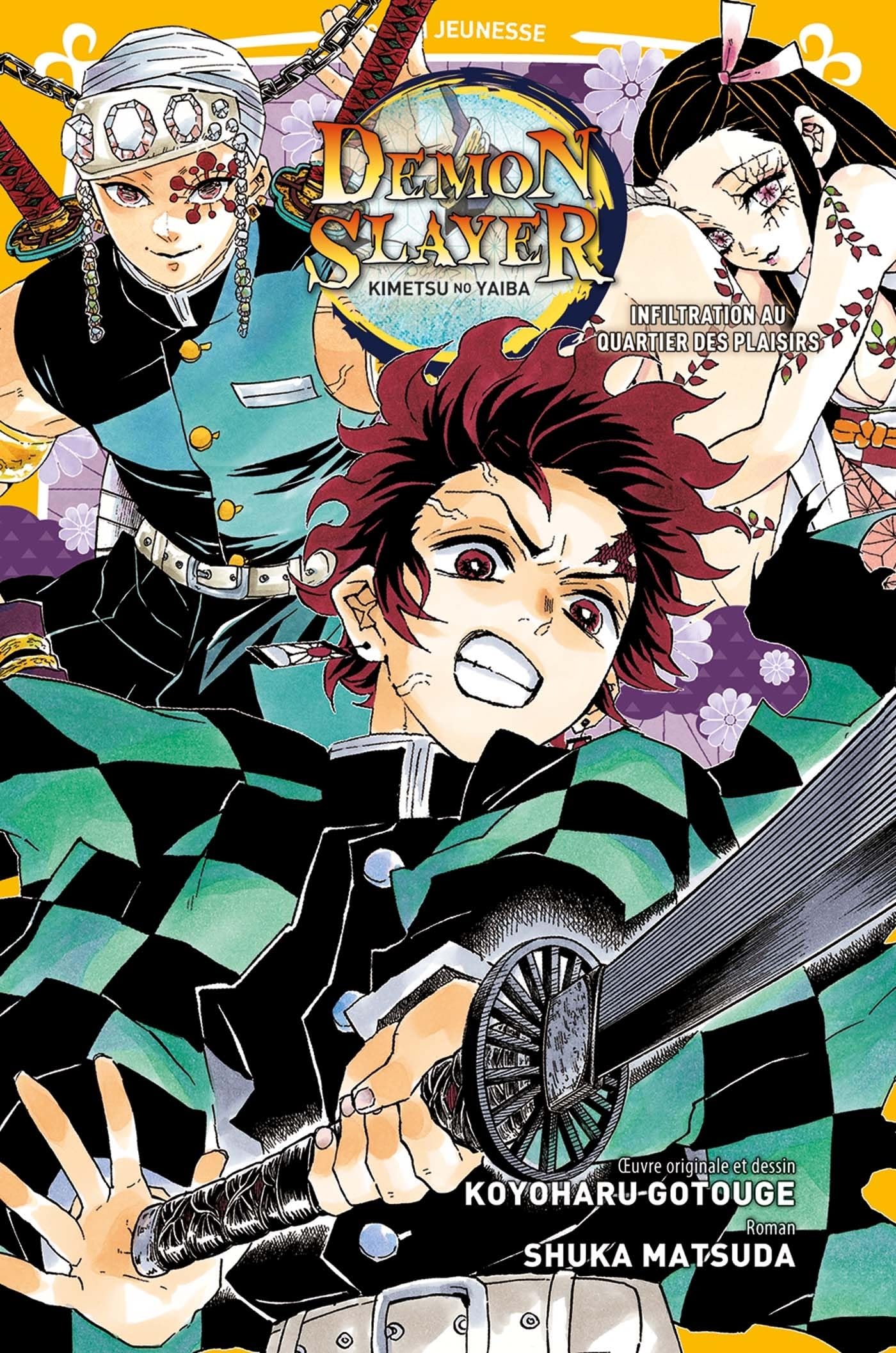 Demon Slayer - Roman jeunesse T04 book