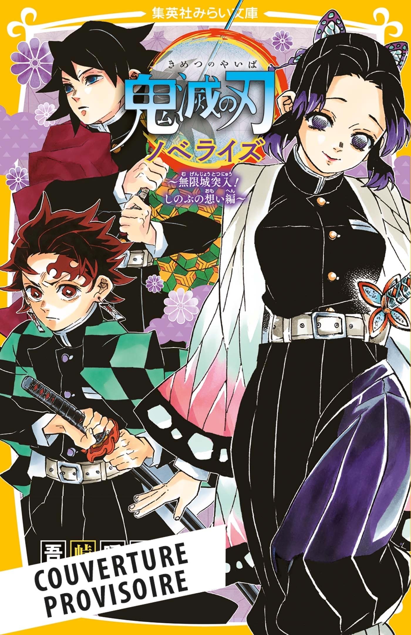 Demon Slayer - Roman jeunesse T06 book