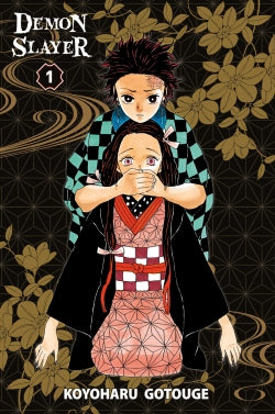 Demon slayer : Kimetsu no yaiba. Vol. 1 Comics & Mangas