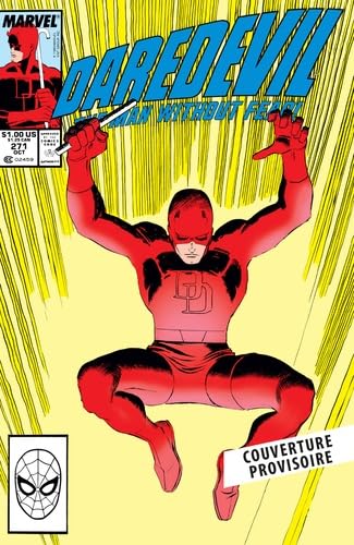 Daredevil par Nocenti/Romita Jr. (Variant Panini) book