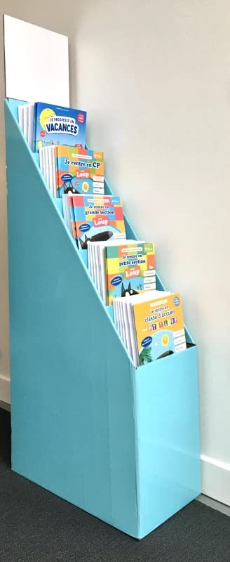 PLV PLEINE TOTEM CAHIERS DE VACANCES (80 EX) book