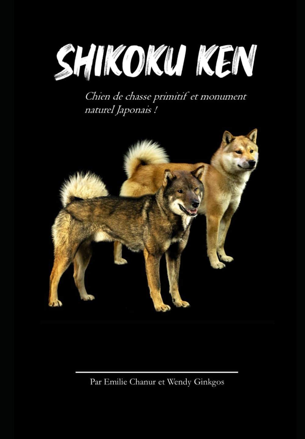 Shikoku ken book