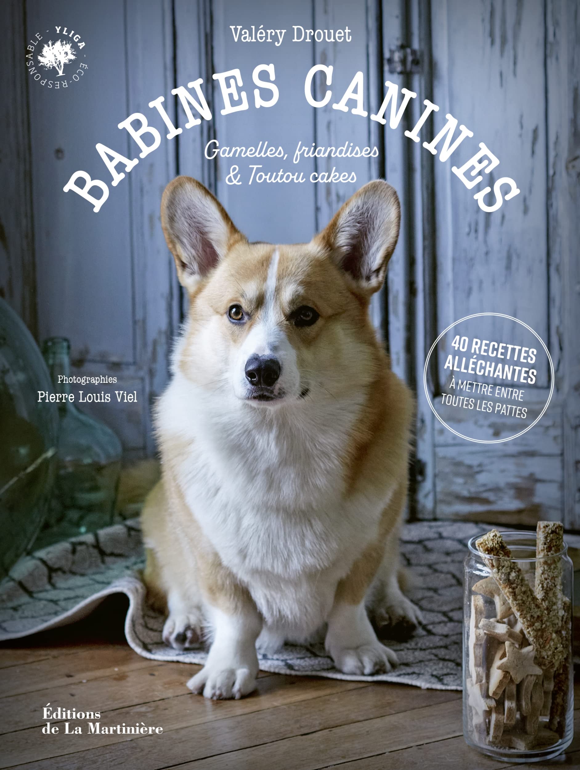 Babines canines: Pâtés, gamelles, friandises et toutou cakes Leisure, Home & Garden