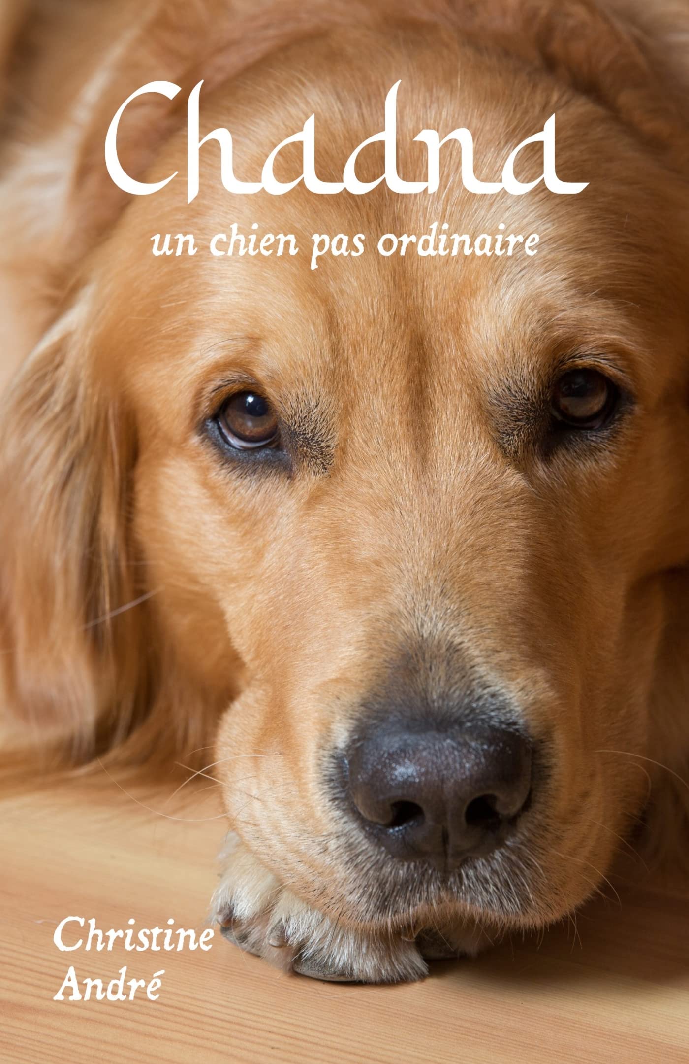 Chadna un chien pas ordinaire book
