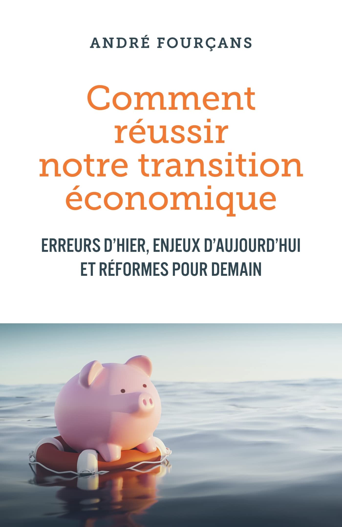 Comment réussir notre transition économique book