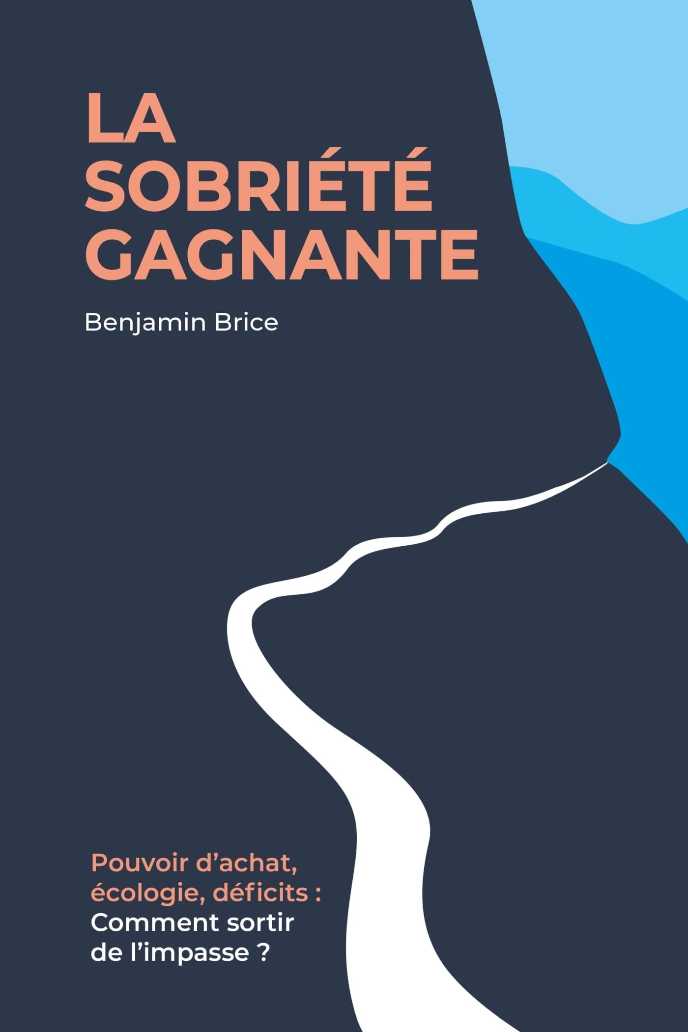 La sobriété gagnante: Pouvoir d'achat, écologie, déficits : comment sortir de l'impasse ? Books