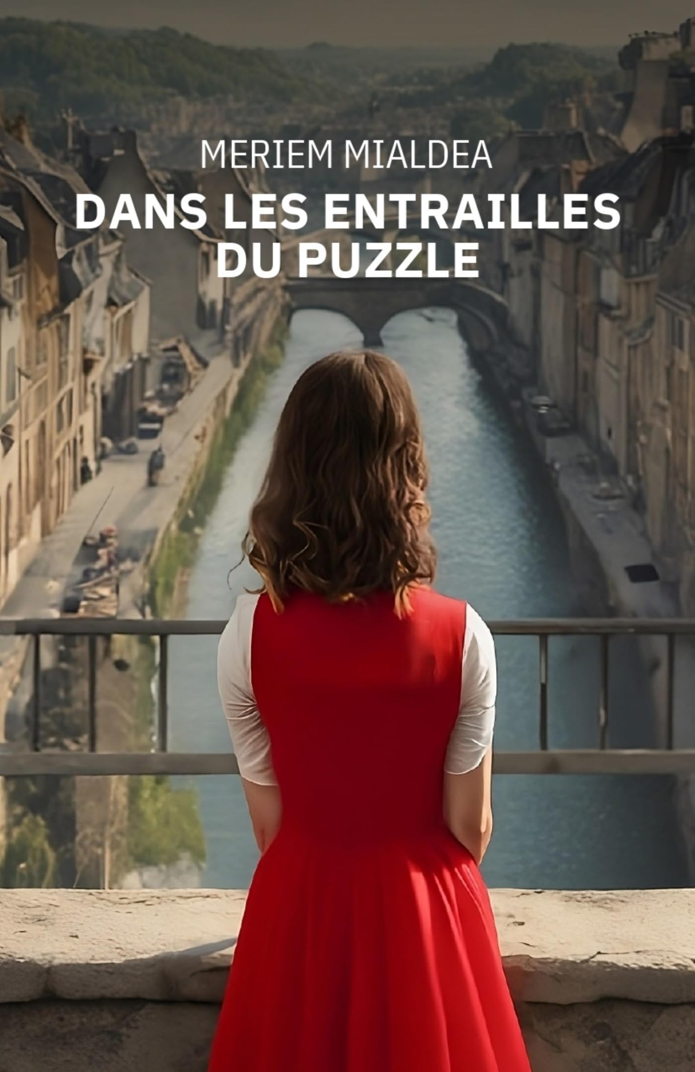 Dans les entrailles du puzzle Contemporary literature
