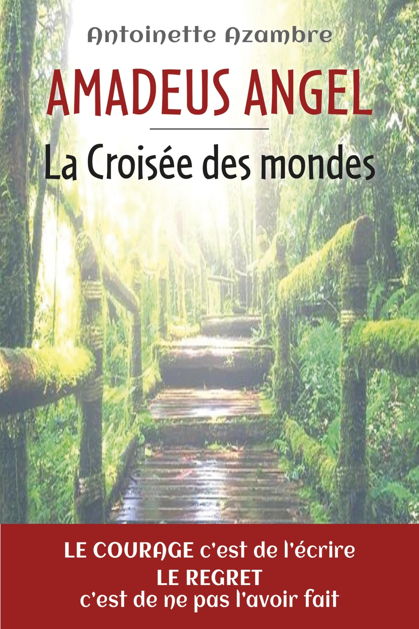 Amadeus Angel - La Croisée des mondes book