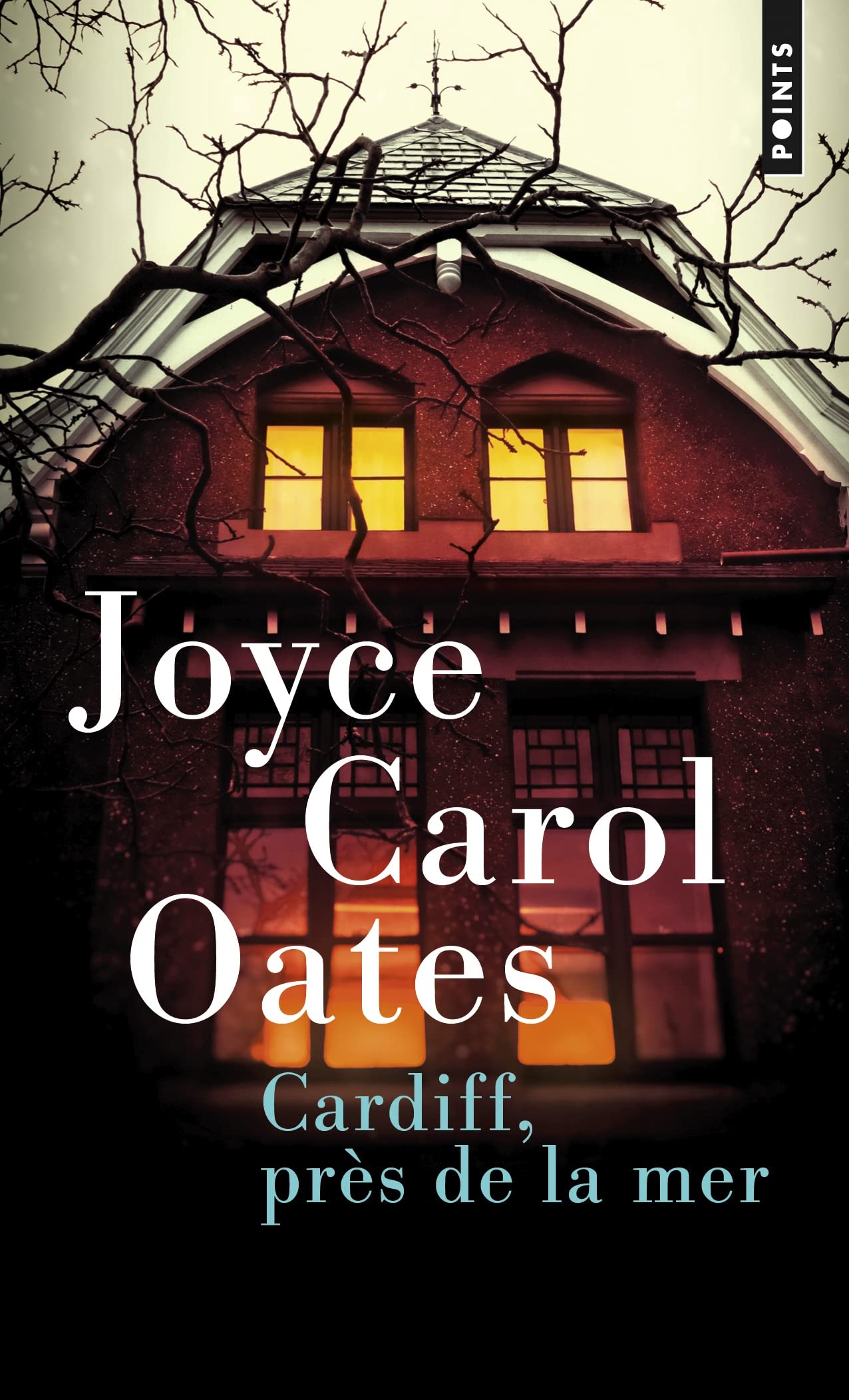 Cardiff, près de la mer : quatre récits à suspense Essays & Short Stories