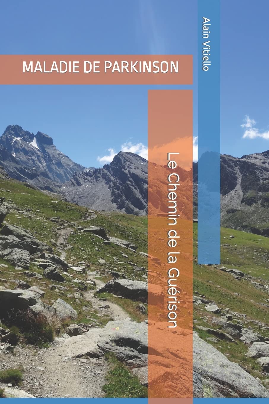 MALADIE DE PARKINSON: Le Chemin de la Guérison book