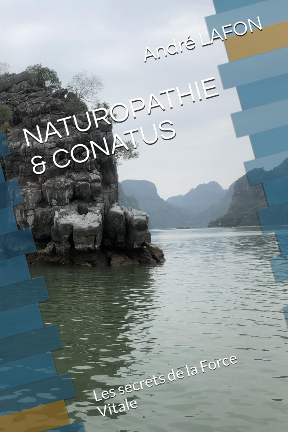 NATUROPATHIE & CONATUS: Les secrets de la Force Vitale book