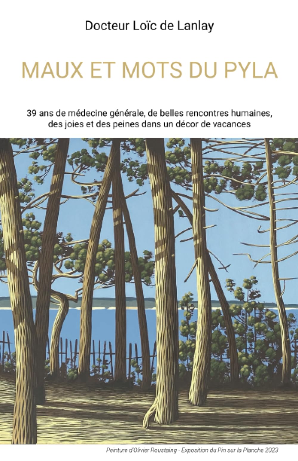 Maux et mots du Pyla: 39 ans de médecine générale, de belles rencontres humaines, des joies et des peines dans un décor de vacances Memories