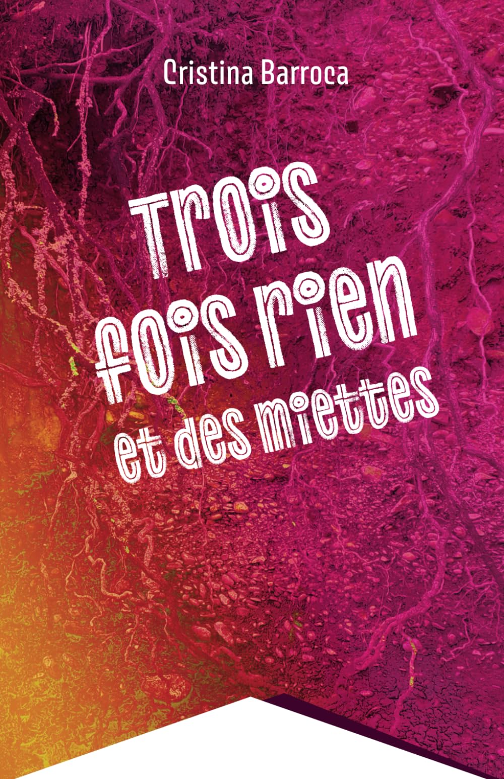 Trois fois rien et des miettes book
