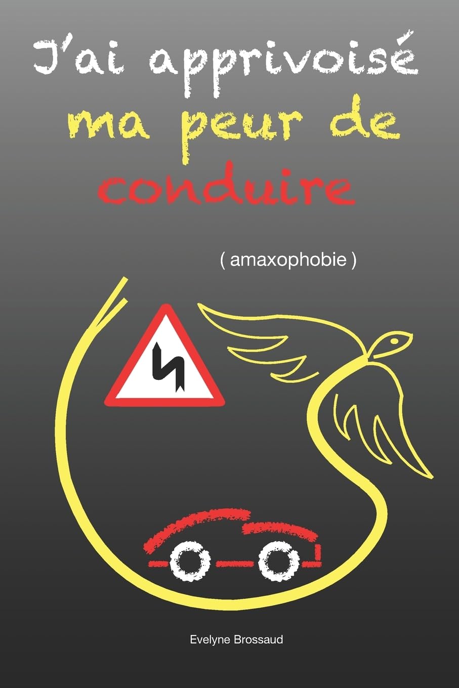 J'ai apprivoisé ma peur de conduire ( amaxophobie ) Medicine