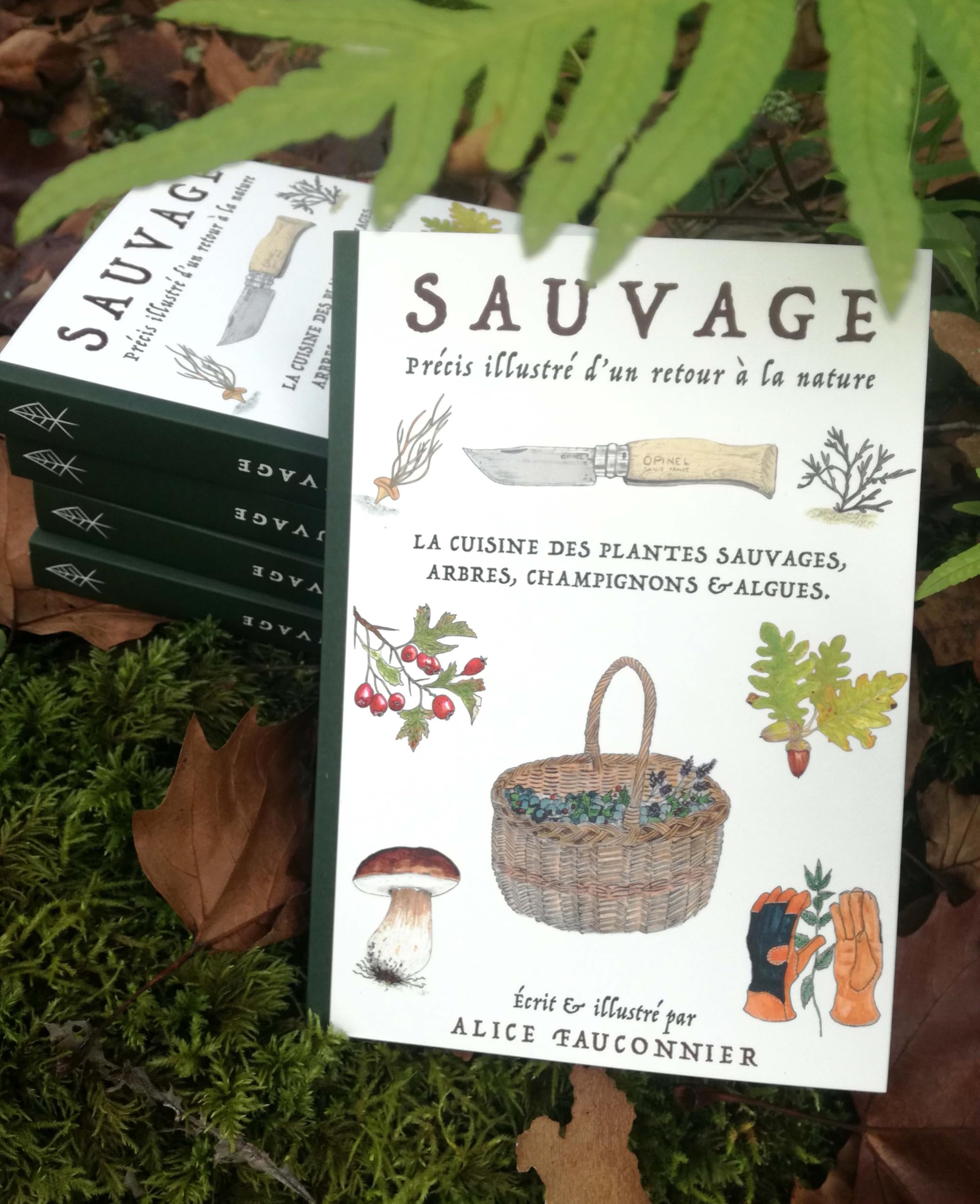 Sauvage, précis illustré d'un retour à la nature: la cuisine des plantes sauvages, arbres, champignons et algues book