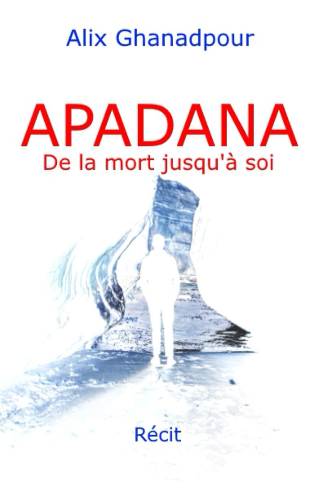 APADANA: De la mort jusqu'à soi book