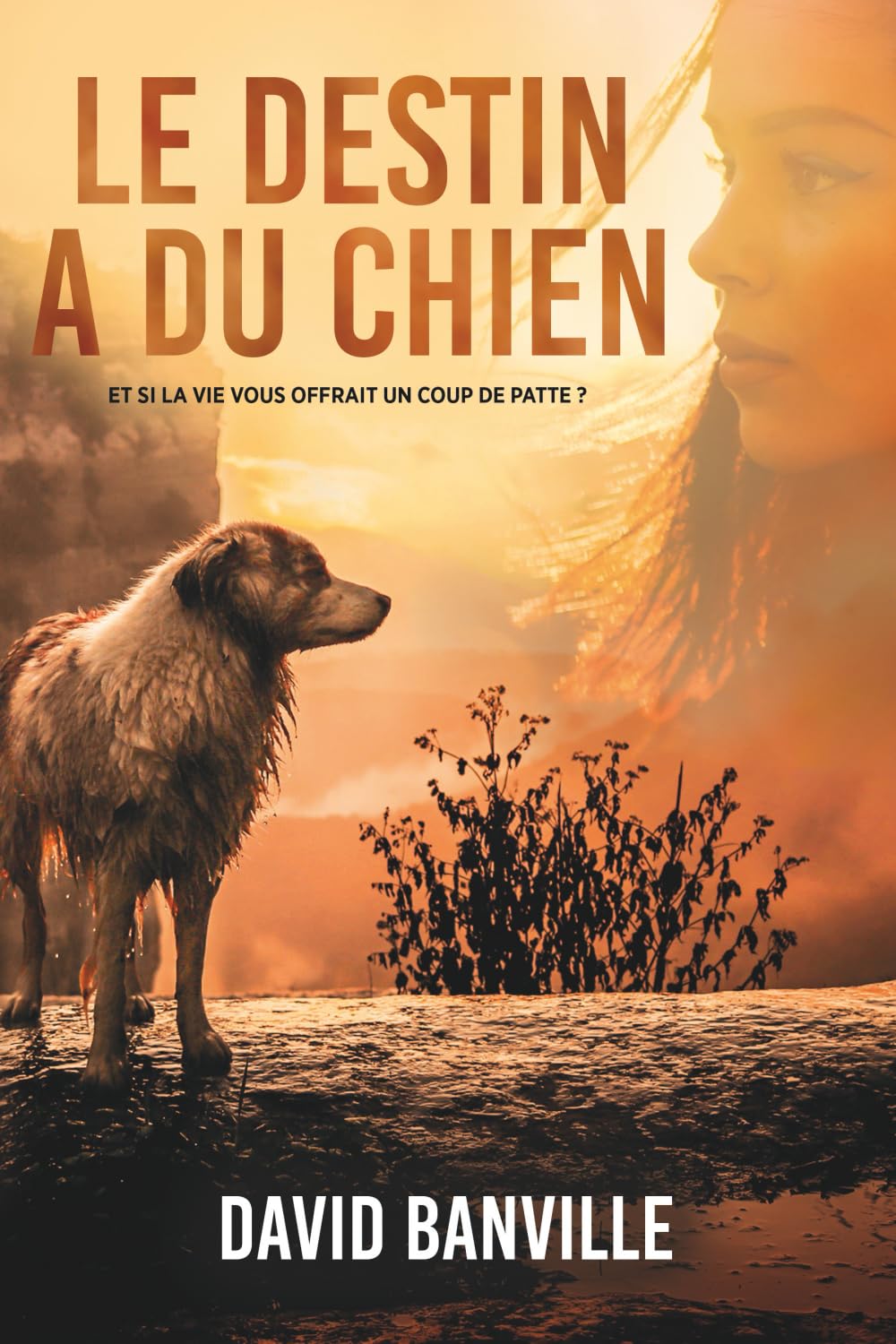Le Destin a du chien: Et si la vie vous offrait un coup de patte ? book