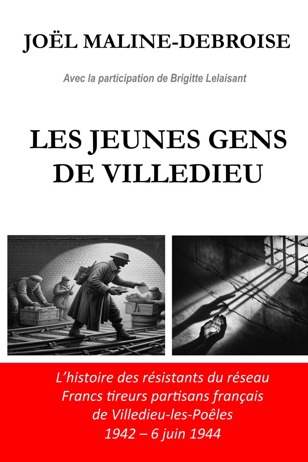 LES JEUNES GENS DE VILLEDIEU: L'histoire des résistants du réseau Francs tireurs partisans français de Villedieu-les-Poêles 1942 - 6 juin 1944 book