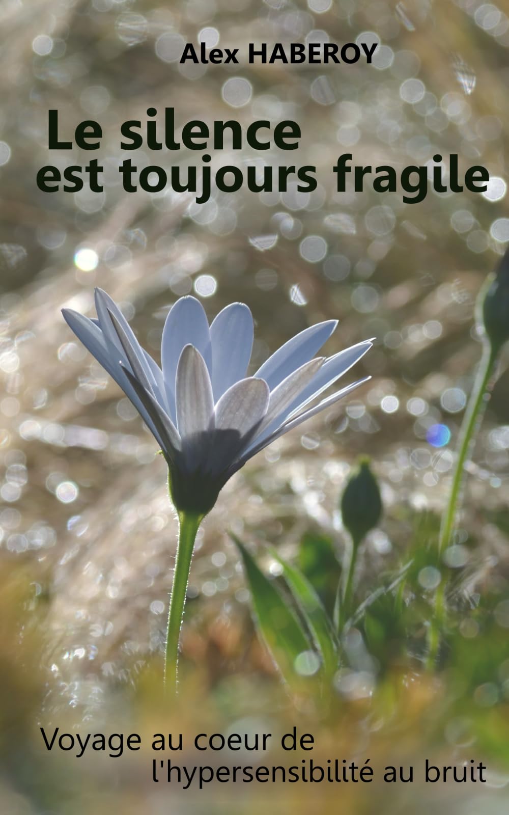 Le silence est toujours fragile: Voyage au de coeur de l'hypersensibilité au bruit Religion & Esotericism