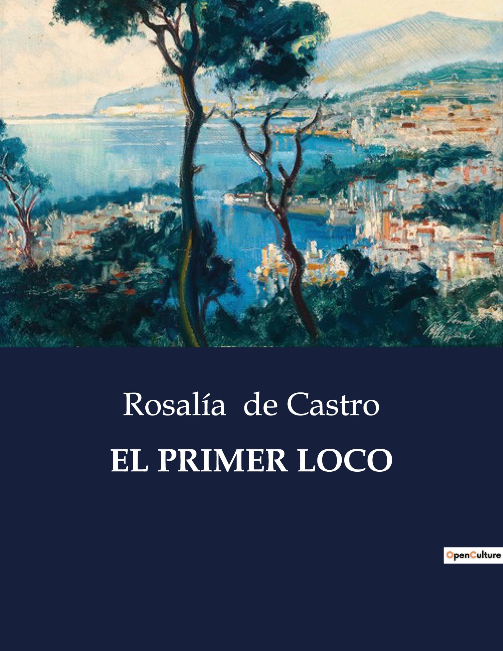 EL PRIMER LOCO: Un viaje a la locura y la introspección book