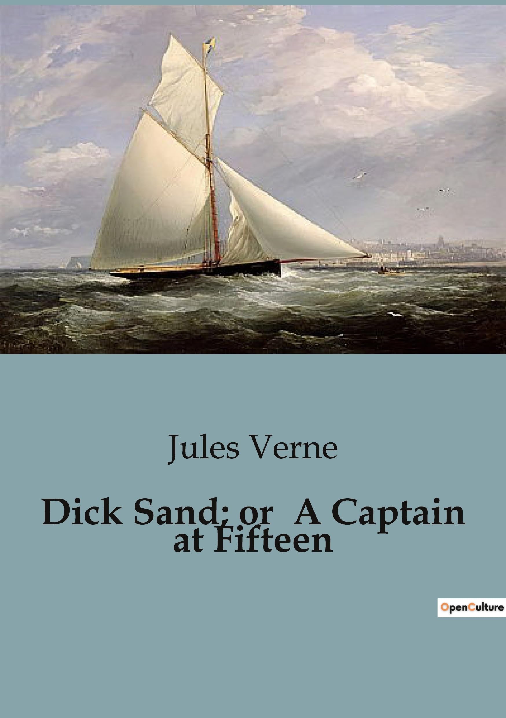 Dick Sand; or A Captain at Fifteen book