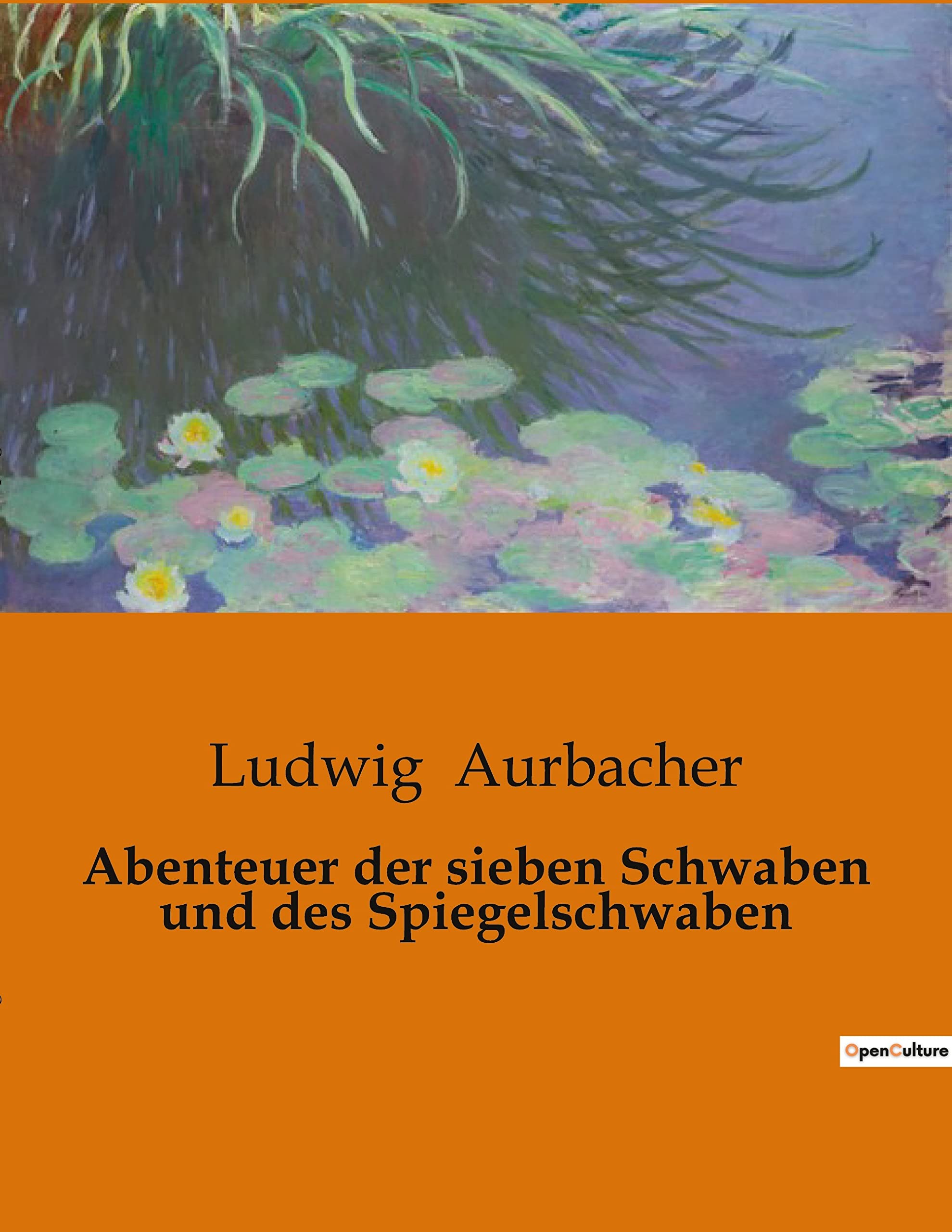 Abenteuer der sieben Schwaben und des Spiegelschwaben: Ein humorvolles Abenteuer voller Missgeschicke und Freundschaft Classics