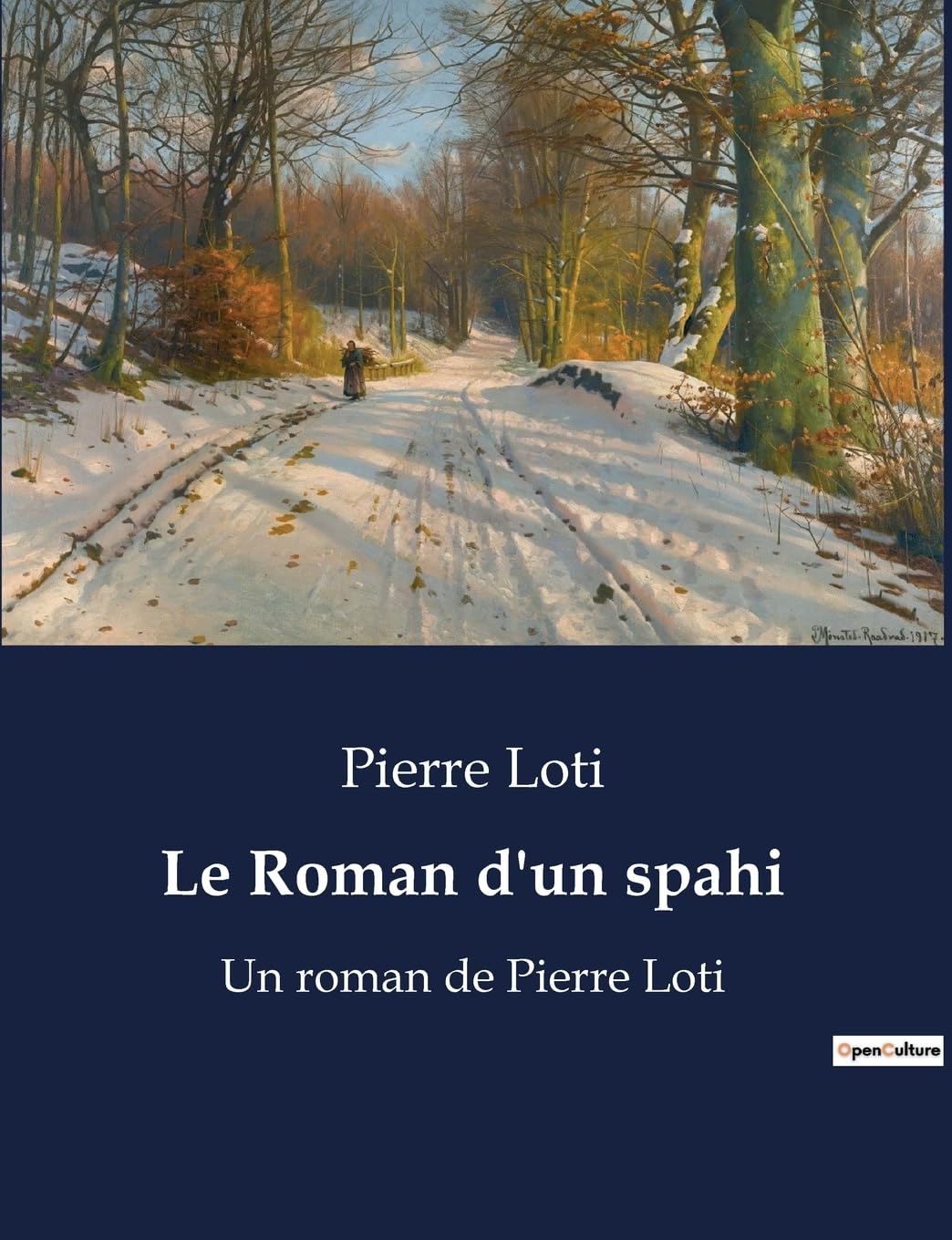 Le Roman d'un spahi: Un roman de Pierre Loti book