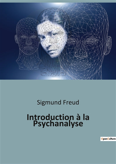 Product Image: Introduction à la Psychanalyse