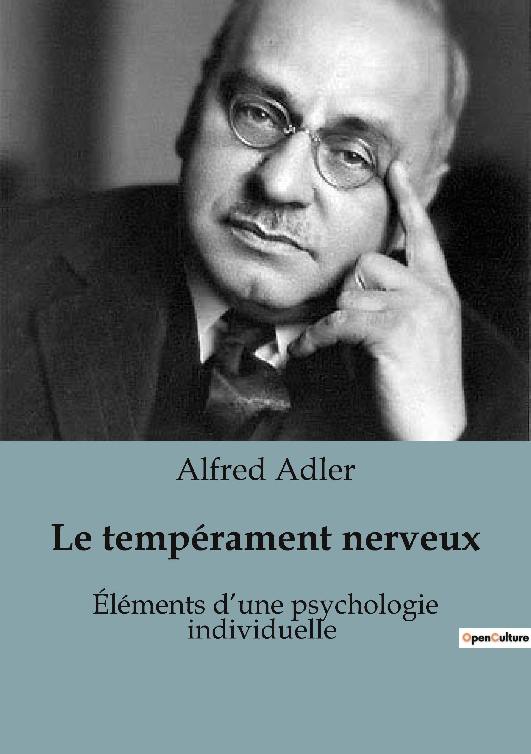 Le tempérament nerveux: Éléments d'une psychologie individuelle book