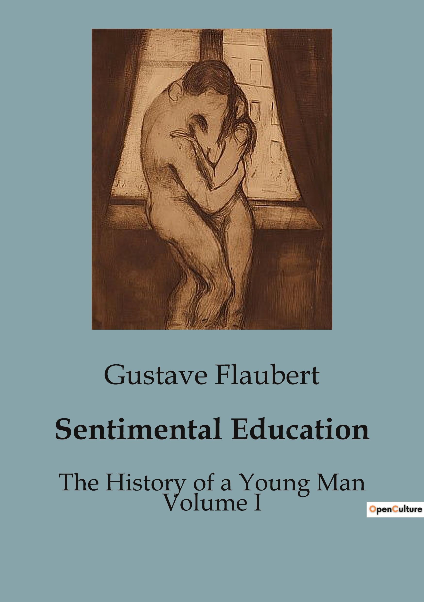 Sentimental Education: The History of a Young Man Volume I Classics