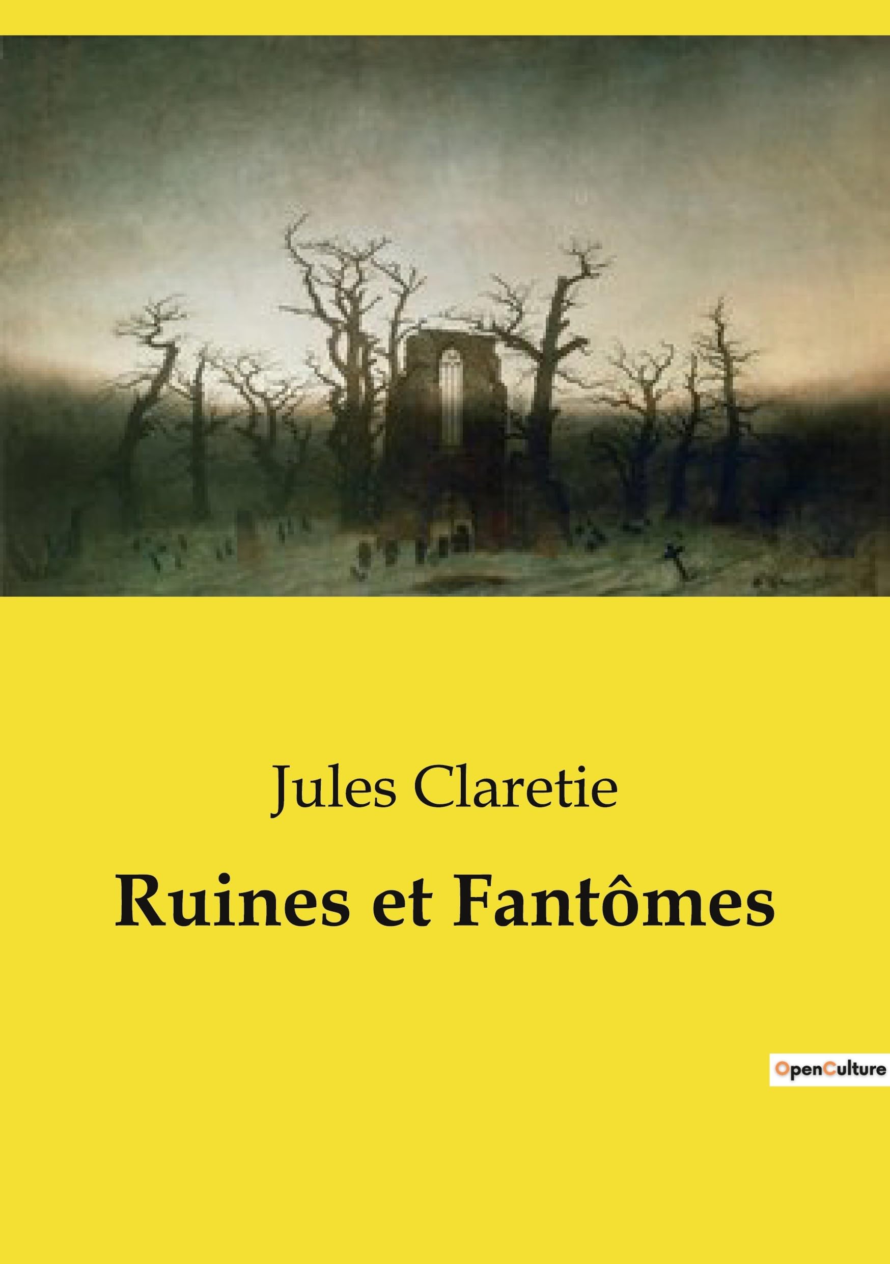 Ruines et Fantômes: Chroniques de la transition française: entre drames personnels et bouleversements historiques book