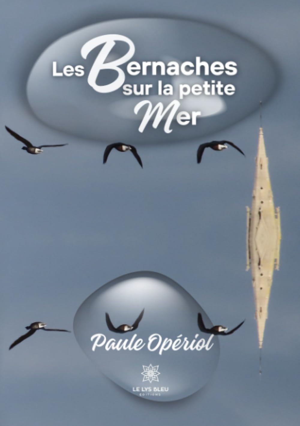 Les bernaches sur la petite mer book