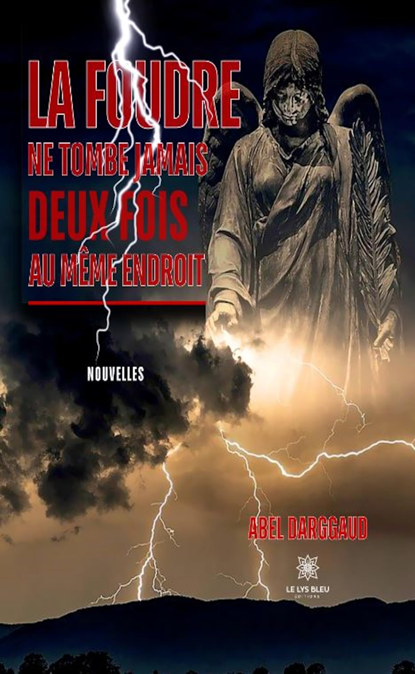 La foudre ne tombe jamais deux fois au même endroit book