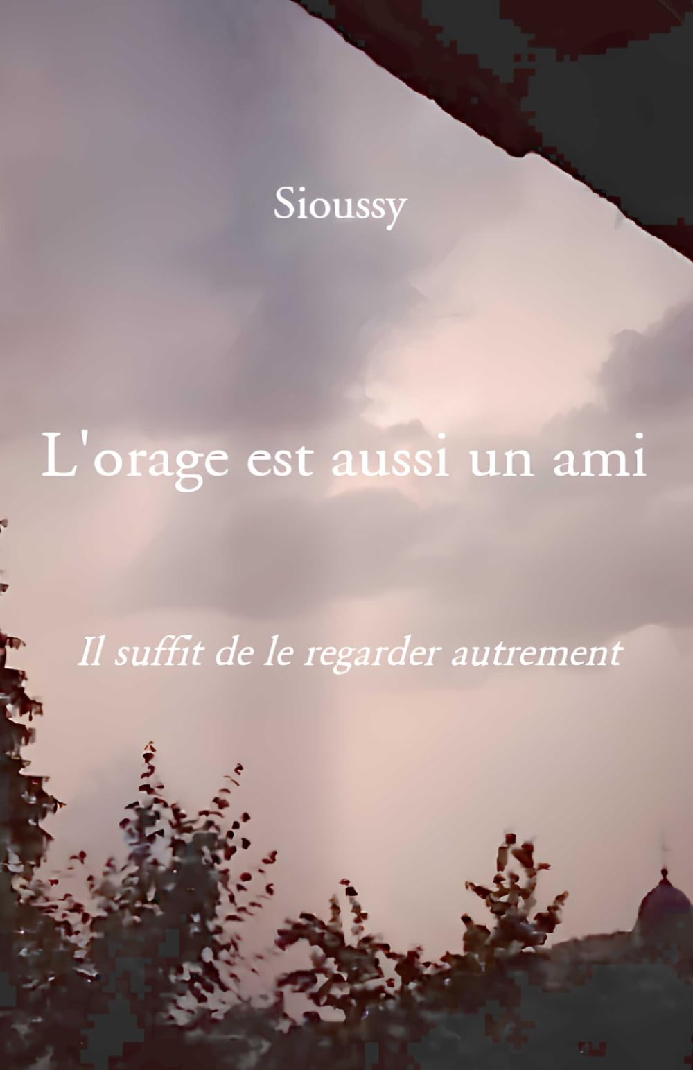 L'orage est aussi un ami: Il suffit de le regarder autrement book