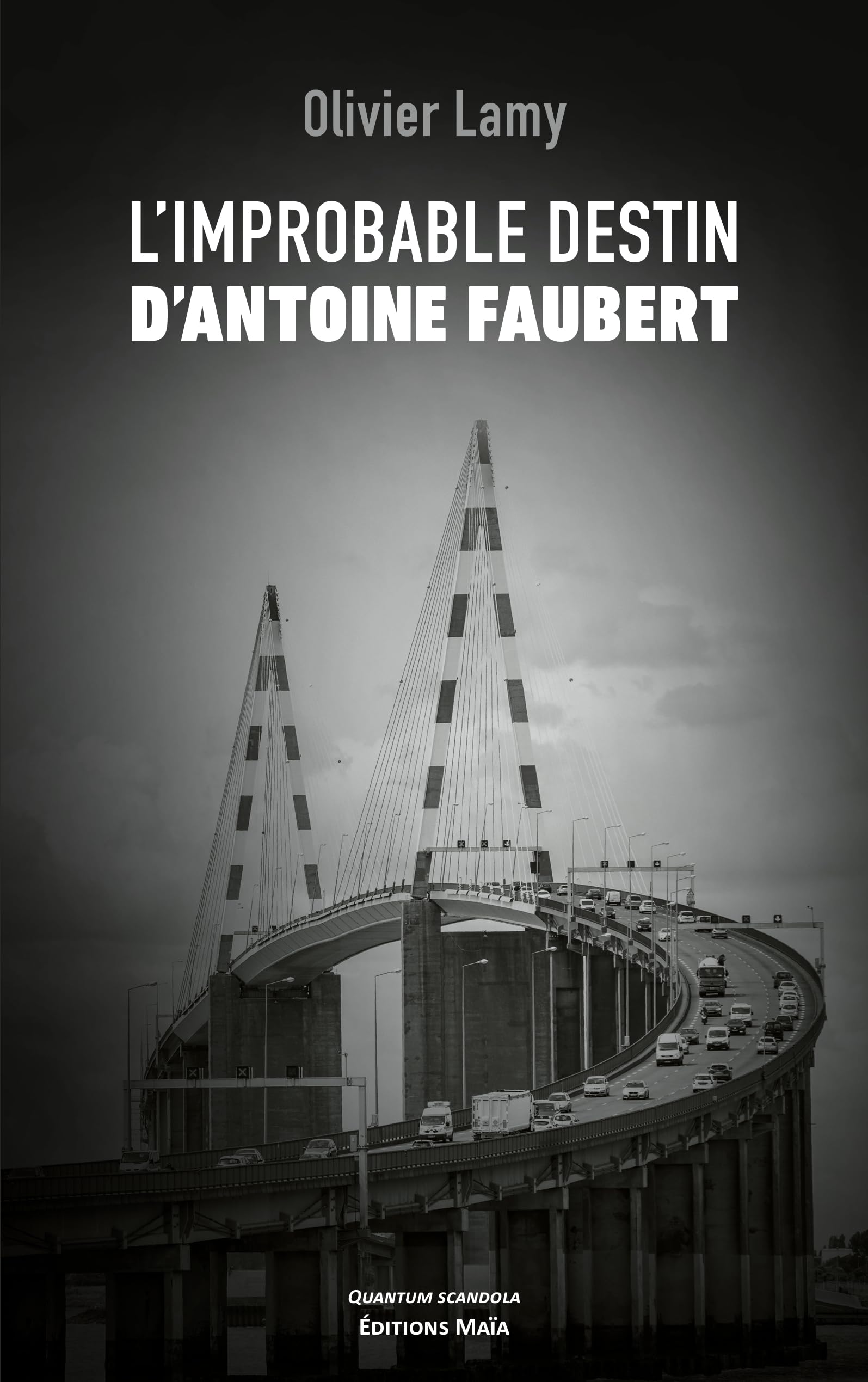 L'improbable destin d'Antoine Faubert book