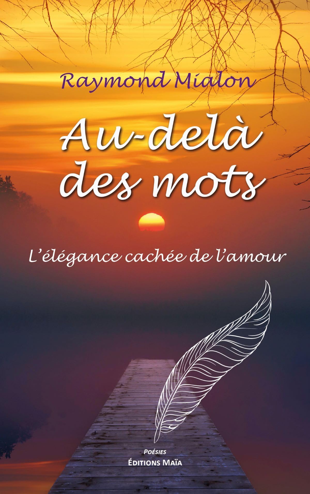 Au-delà des mots: L'élégance cachée de l'amour book