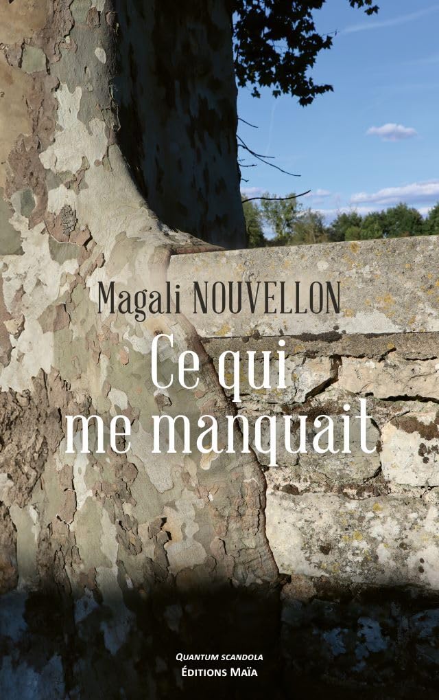 Ce qui me manquait Books