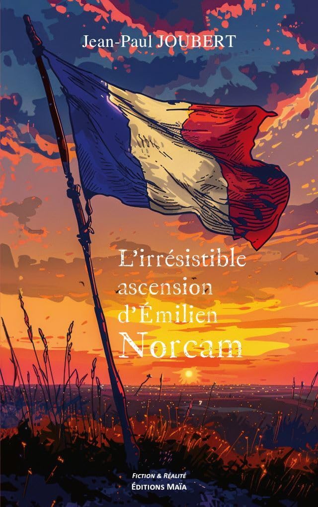 L'irrésistible ascension d'Émilien Norcam book