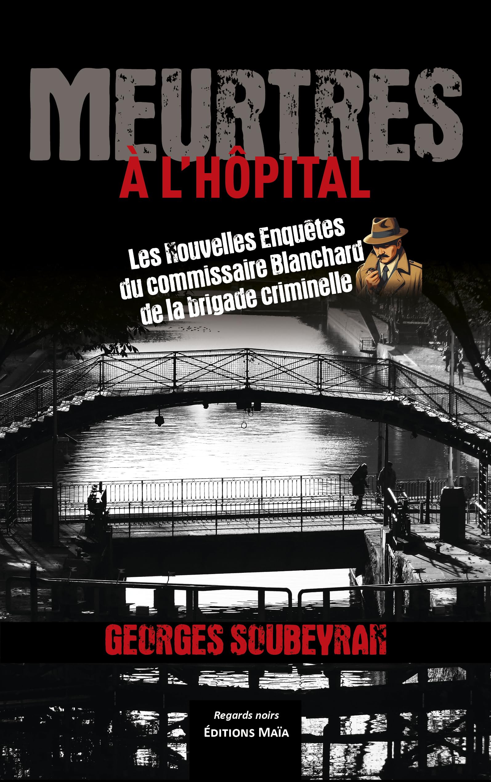 Meurtres à l’hôpital - Les Nouvelles Enquêtes du commissaire Blanchard de la brigade criminelle book