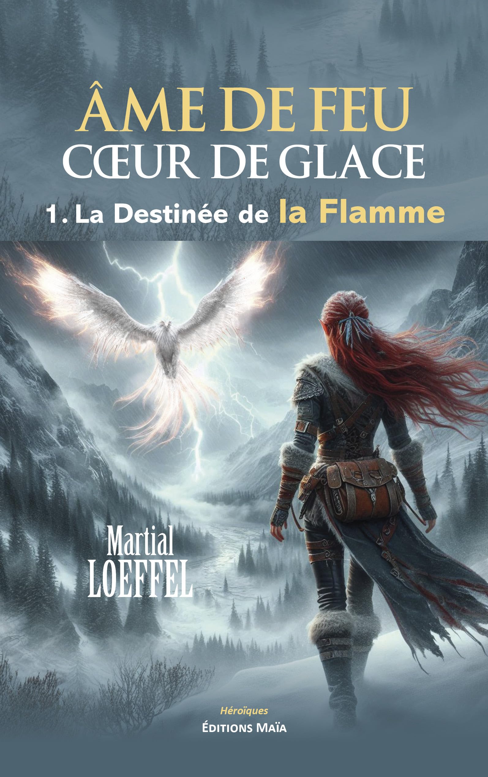 Âme de feu cœur de glace - 1. La Destinée de la Flamme book