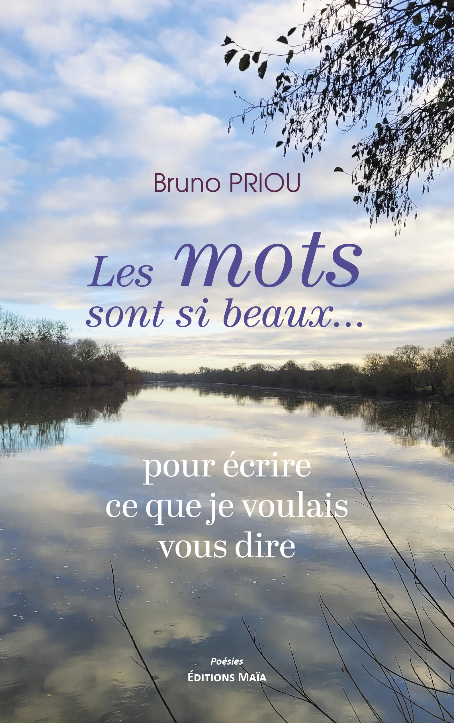 Les mots sont si beaux... pour écrire ce que je voulais vous dire Books