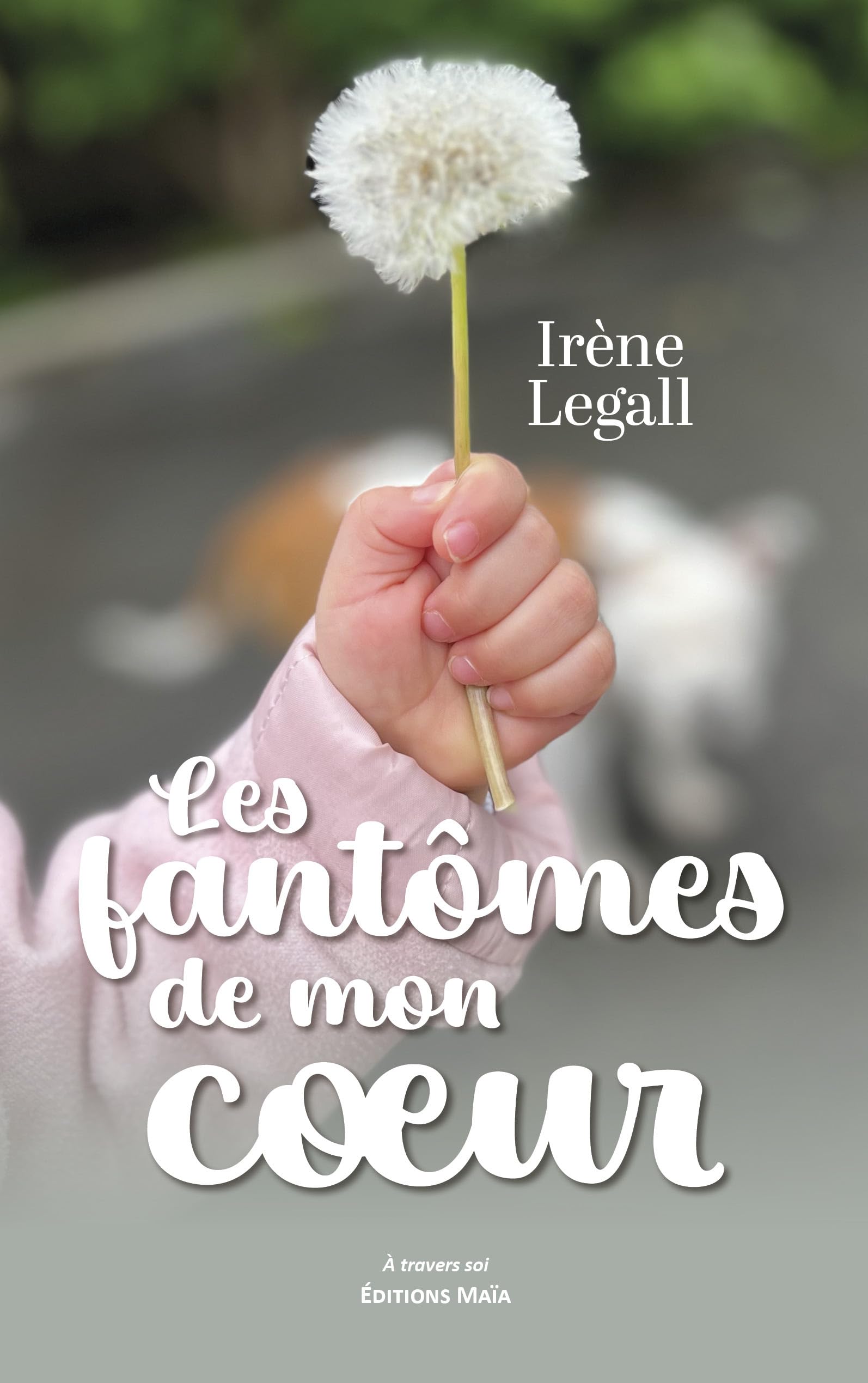 Les fantômes de mon cœur Books