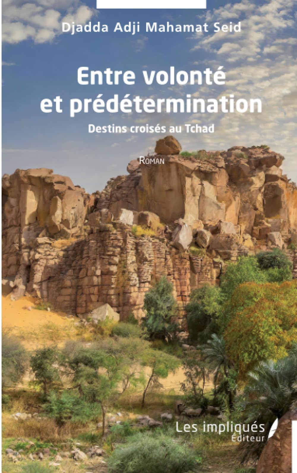 Entre volonté et prédétermination: Destins croisés au Tchad book