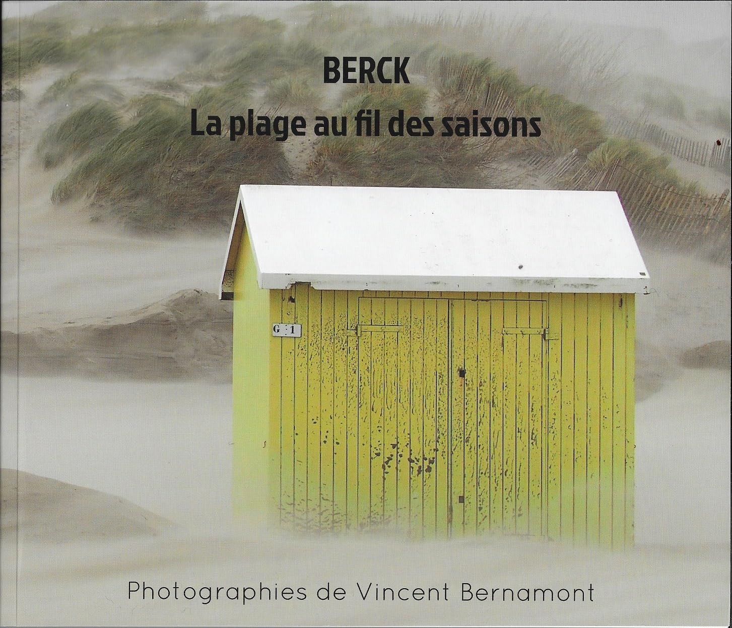 BERCK La plage au fil des saisons book
