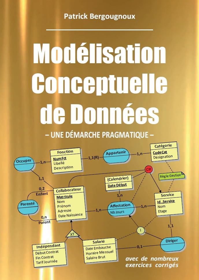 Modélisation Conceptuelle de Données - Une Démarche Pragmatique Computer Science
