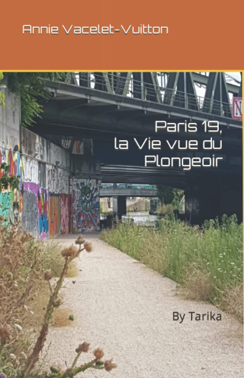 Paris 19, la vie vue du plongeoir. book