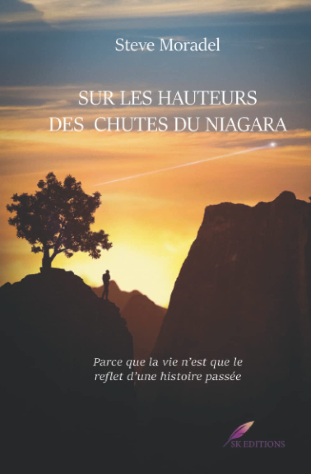 Sur les hauteurs des chutes du Niagara: Parce que la vie n'est que le reflet d'une histoire passée book