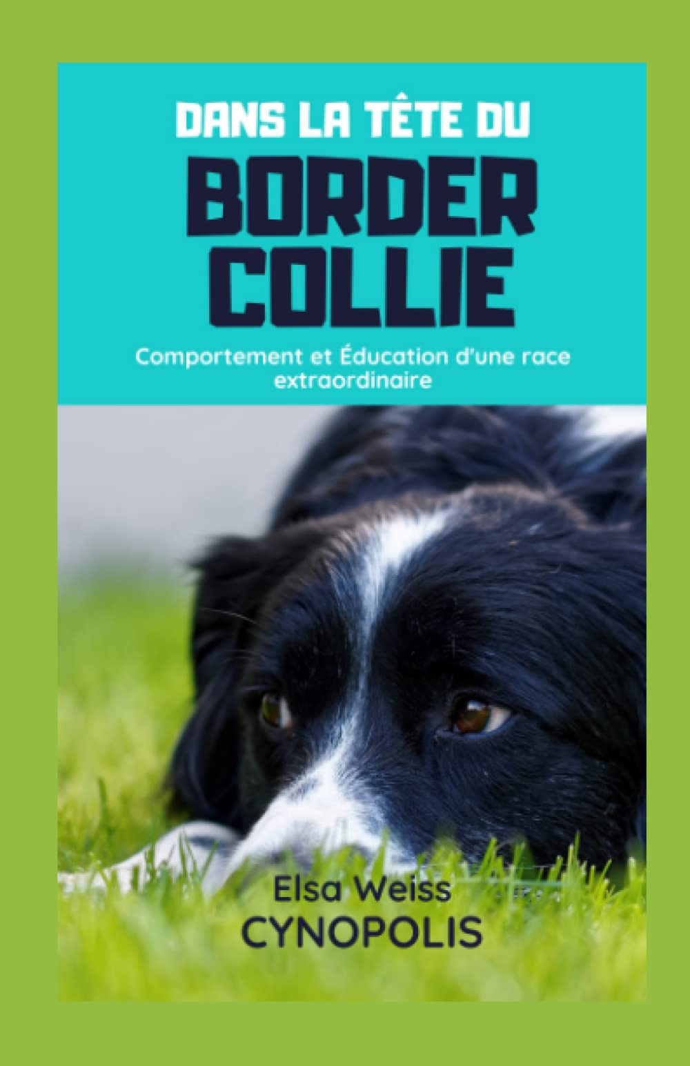 Dans la Tête du Border Collie: Comportement et Éducation d'une race extraordinaire Pets